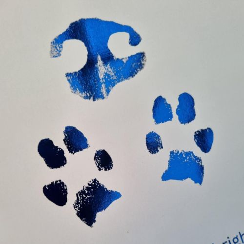 Pawprint & Nose Print Foil Keepsake | Pet Memorial Gift Australia