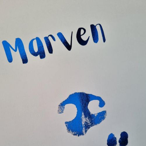 Pawprint & Nose Print Foil Keepsake | Pet Memorial Gift Australia